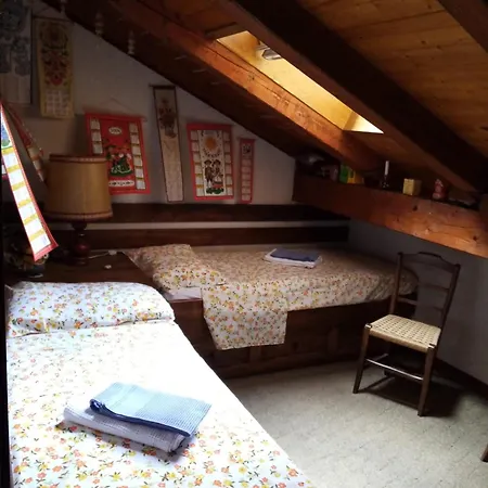 19 Nigritella Sappada